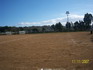 thumb_100_1948.jpg